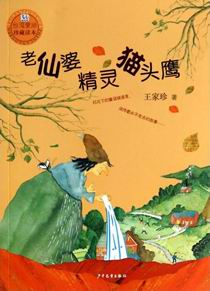 老仙婆精灵猫头鹰