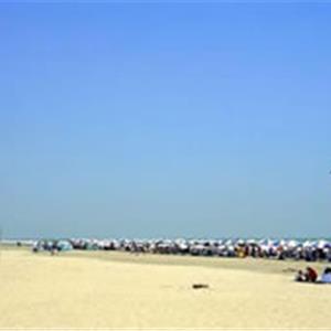 东海岛
