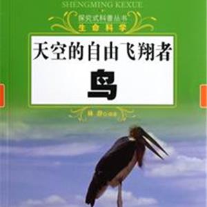 天空的自由飞翔者(鸟)