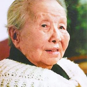 湛江十日