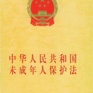 中华人民共和国未成年人保护法