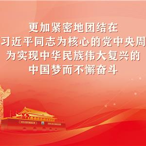 党的十九届六中全会精神宣传画