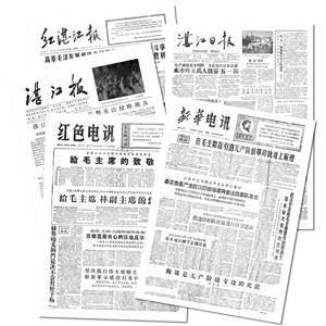 地方报纸数据库